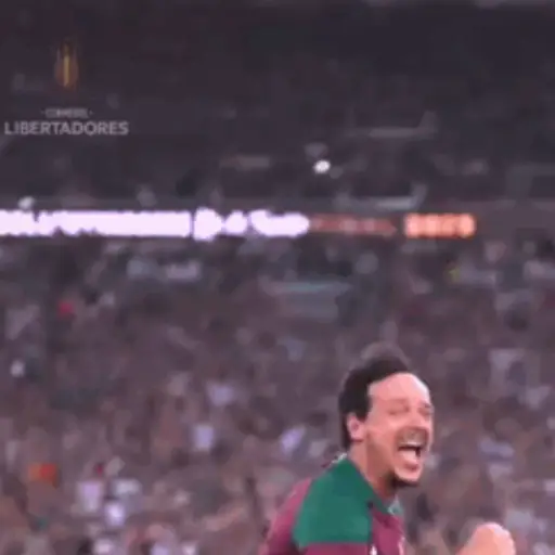FLUMINENSE 9