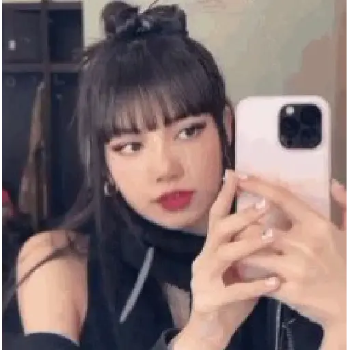 ㅤㅤ❝ㅤㅤㅤ🌸ᅠᅠ〔 Lisa 〕ᅠᅠ鑟鑟 11