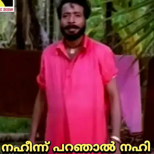 Malayalam Movie Cuts 13 11