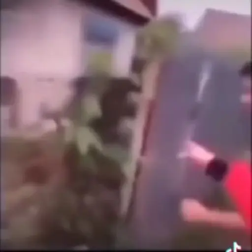 XD......... 1