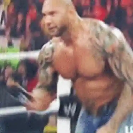 "The Animal"Batista 🐯 29