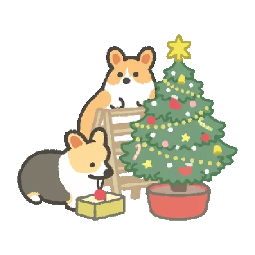 Natal 9