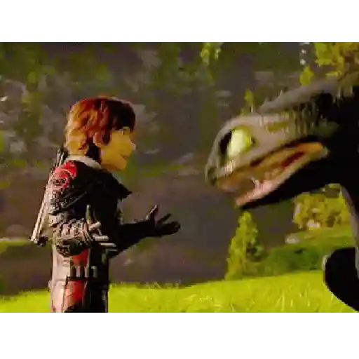 Dragon Trainer  25