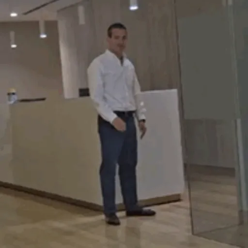 Repollo 24