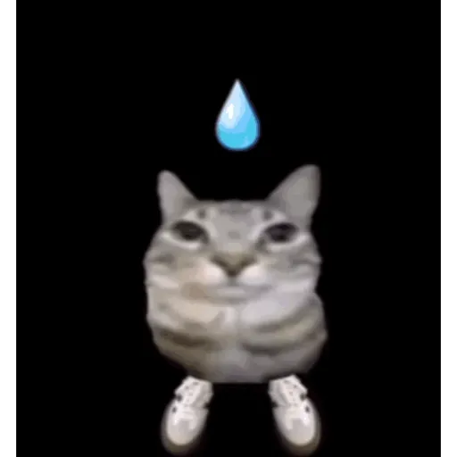 Buendia 15