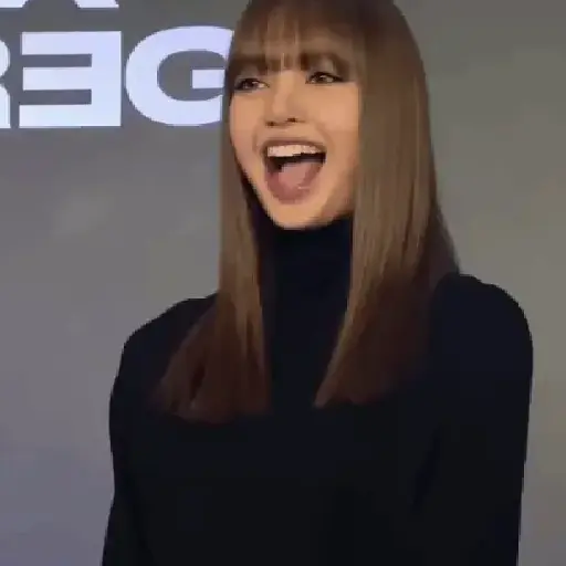 ㅤㅤ❝ㅤㅤㅤ🌸ᅠᅠ〔 Lisa 〕ᅠᅠ鑟鑟 6