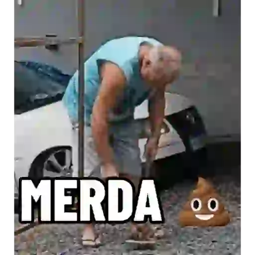 Animadas 7