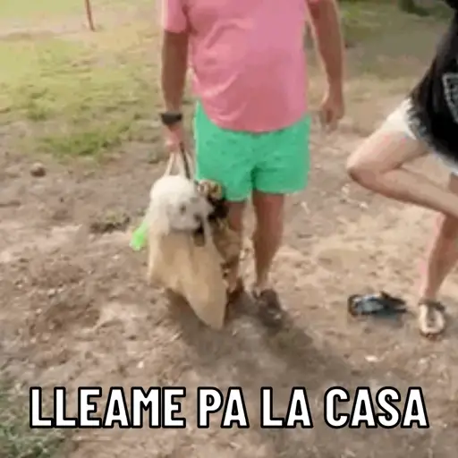 Repollo 25
