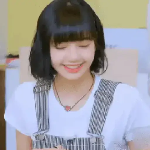 ㅤㅤ❝ㅤㅤㅤ🌸ᅠᅠ〔 Lisa 〕ᅠᅠ鑟鑟 7