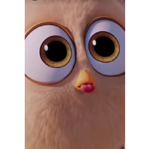 Littles birds  3