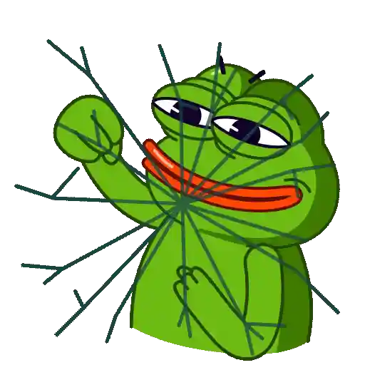 Mr pepe 7