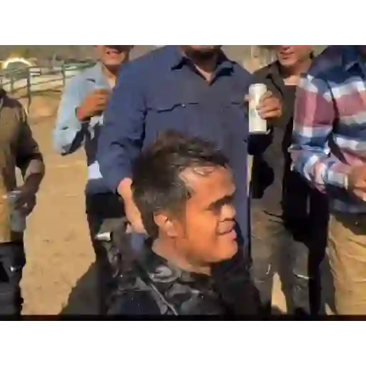 Gif 20