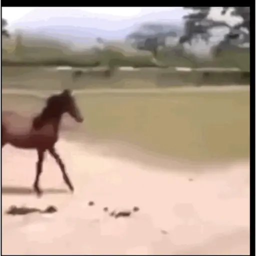Buendia 8