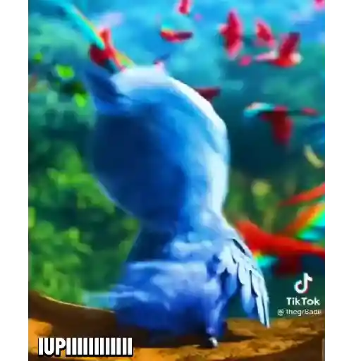 Littles birds  7