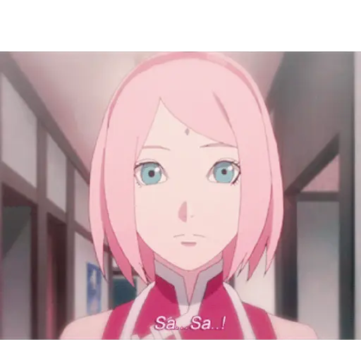 Sakura 27
