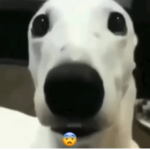 Que 💔 10