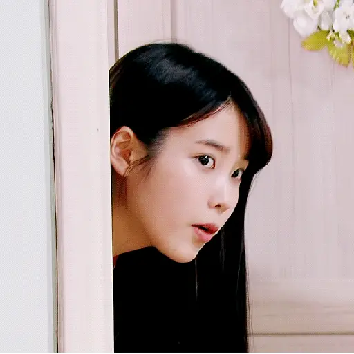Kpop gifs 1 8