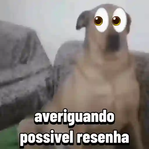 Que 💔 13