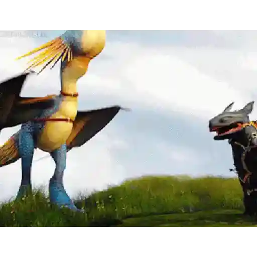 Dragon Trainer  22
