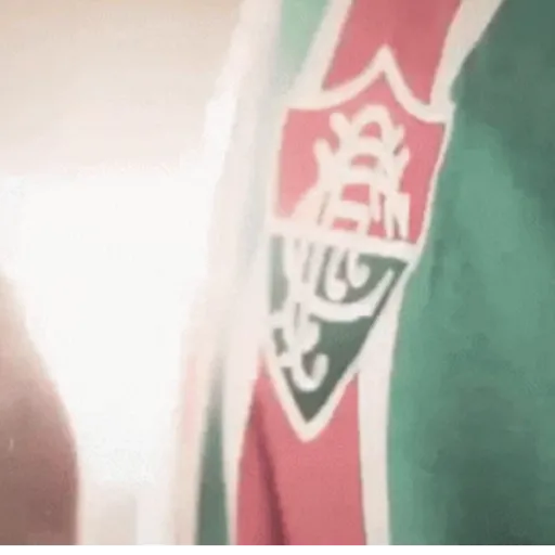 FLUMINENSE 8