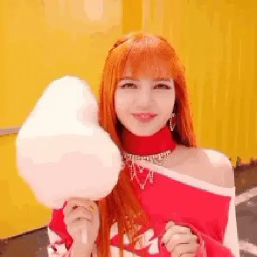 ㅤㅤ❝ㅤㅤㅤ🌸ᅠᅠ〔 Lisa 〕ᅠᅠ鑟鑟 9