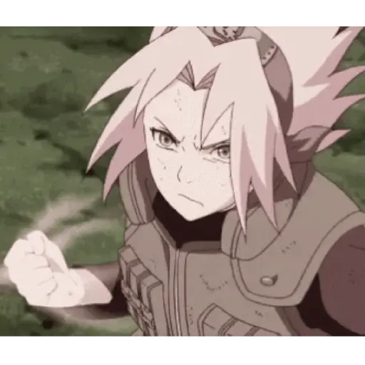 Sakura 24