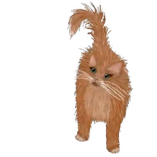 Gatitos mov 7