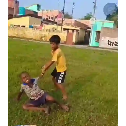 Gif 19