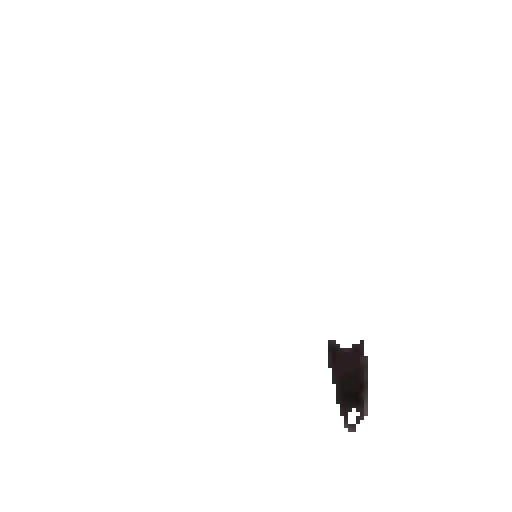 Gif Kucing 10