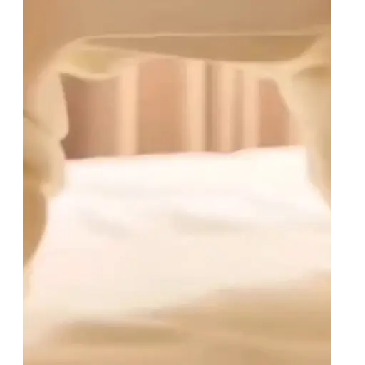 Pets Random 17