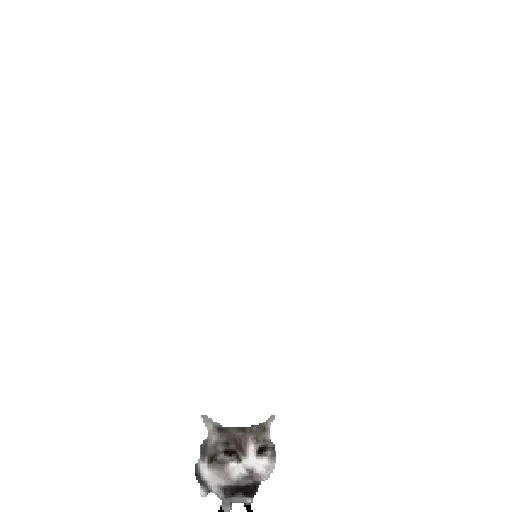 Gif Kucing 11