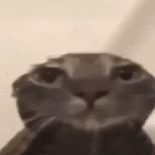 Gif Kucing 5