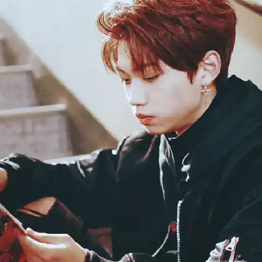 Lee Felix Stray Kids 5