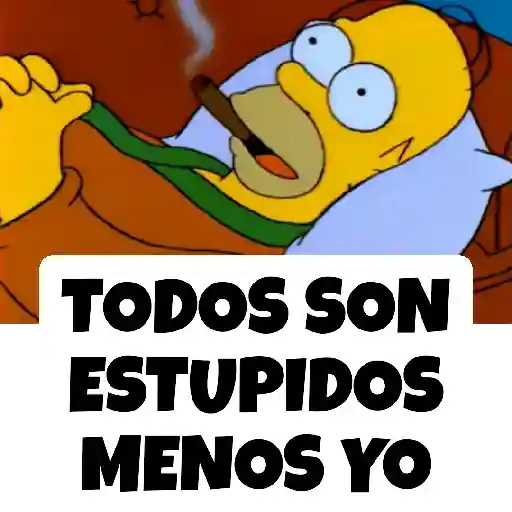 Homero 2 14