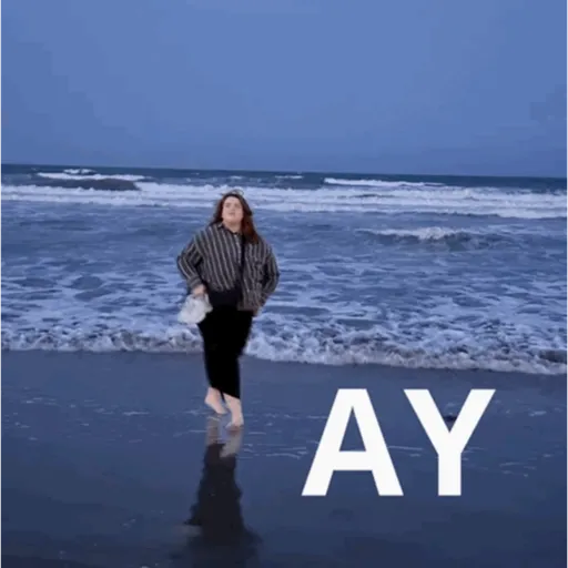 Animadas 29
