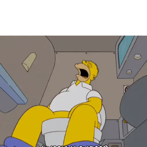 Homero 2 18