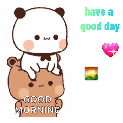 Panda n bear 11