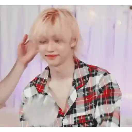 Lee Felix Stray Kids 8