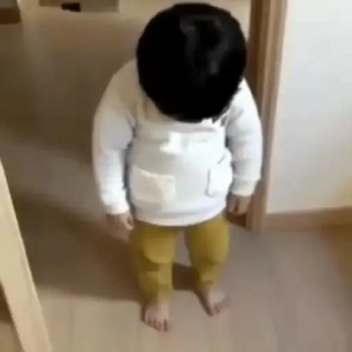 Coreaninha jinmiran animadas 15