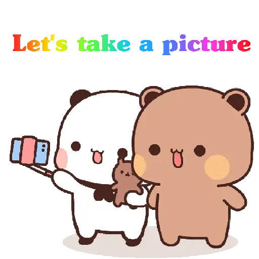 Panda n bear 24