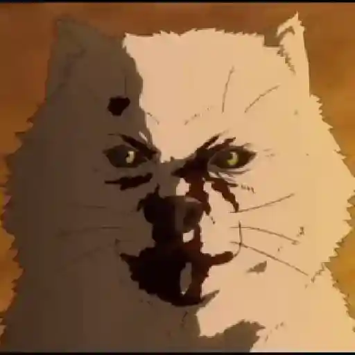 Animeses 5 19