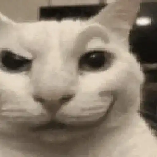 Gif Kucing 8
