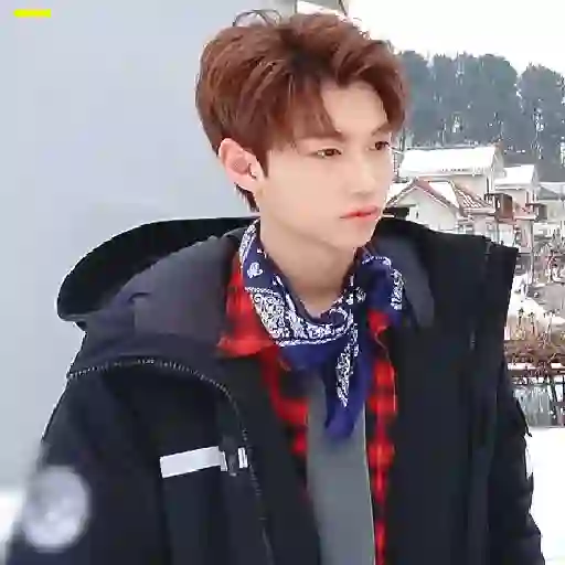 Lee Felix Stray Kids 6