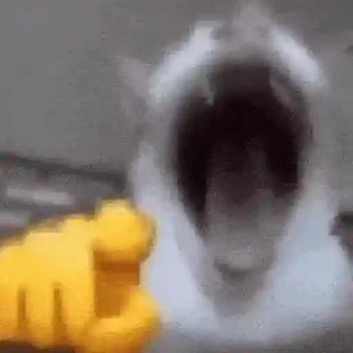 Memes Tiktok reaction 14
