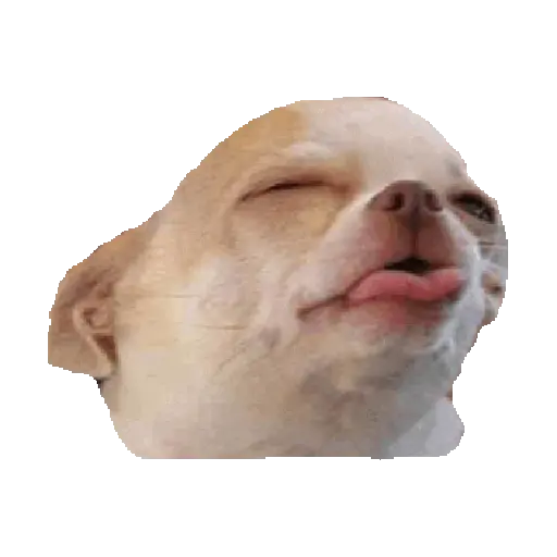 Vdrhhhg 21