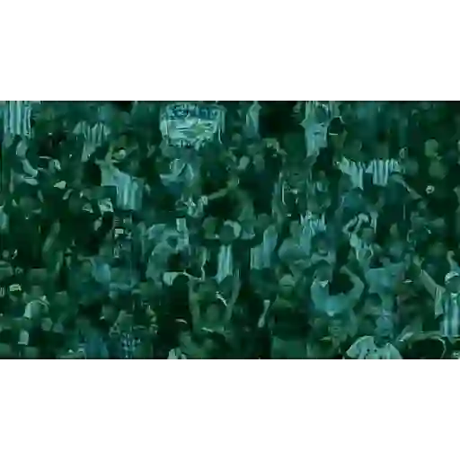 ARGENTINA ALBICELESTE CONMEBOL 1