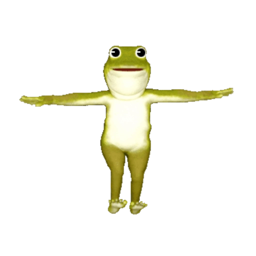 Funny frog 14