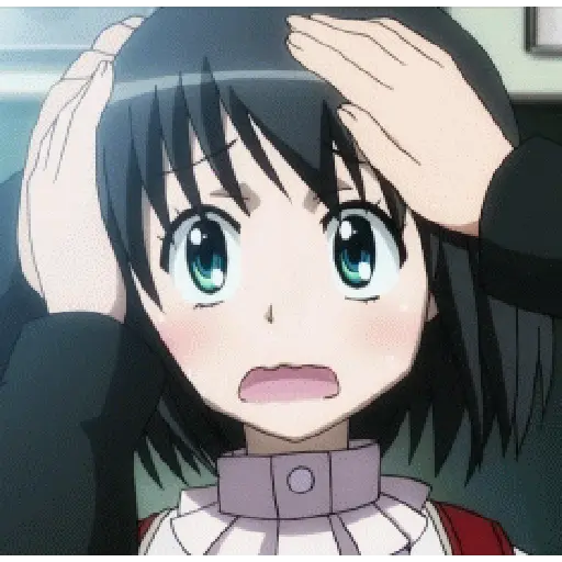 Animeses 5 17