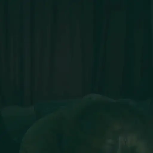 █▓ ׄㅤZaneㅤִ ■㎫3ㅤ 12