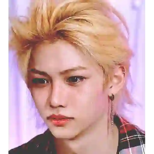 Lee Felix Stray Kids 10